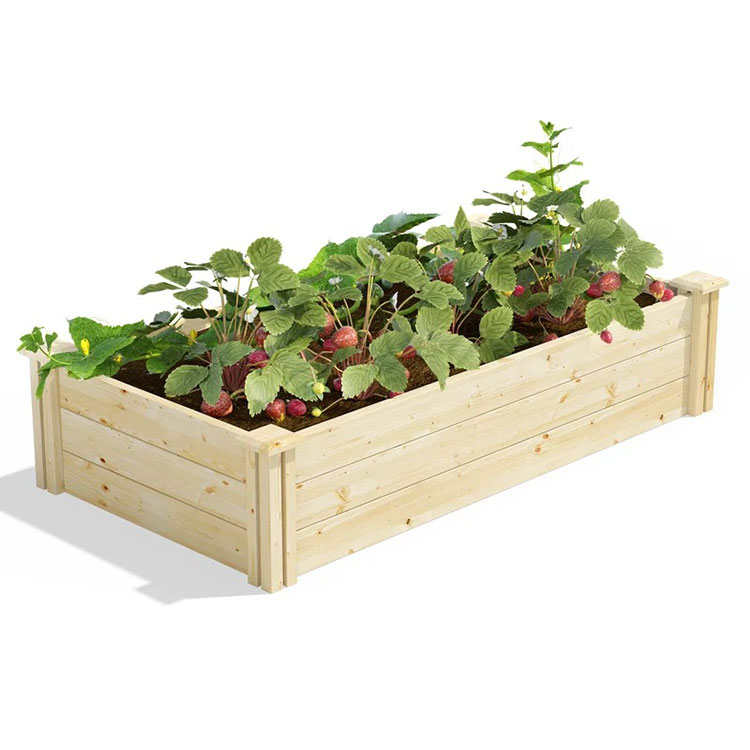 Why do you need a  garden bed?